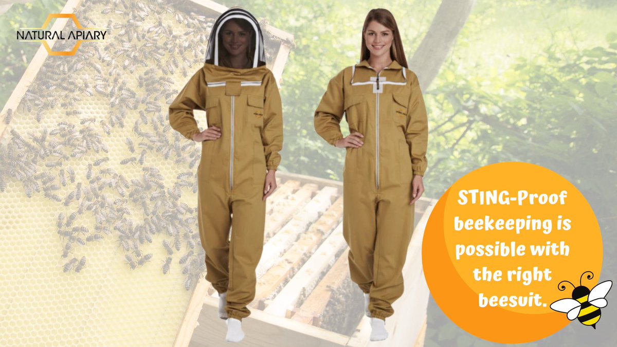 NaturalApiary's tweet photo. Our #beekeeping suit is designed with the beekeeper in mind. The material is breathable and comfortable, and it has multiple pockets to hold tools, gloves, and other accessories, making  easy to use. 💛🧡🐝

Explore more -  https://t.co/gFk3MUII1D

#naturalapiary #apiaristsuit https://t.co/pMBDXaz6DH