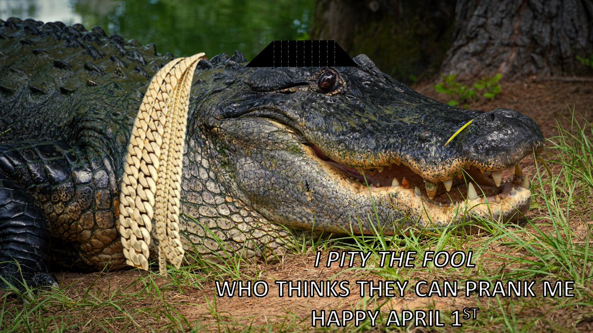 UGASREL's tweet photo. Happy April 1st! 🌻 We hope your day is filled with laughter. 
Special thanks to Ashley Thoerner for the beautiful picture of Stumpy - bling not included. 🤣
#UGASREL #SREL #Stumpy #MrT #funny https://t.co/2h34yVAY3O