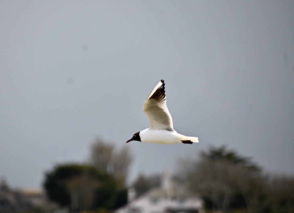 Andrew Watson tweet media