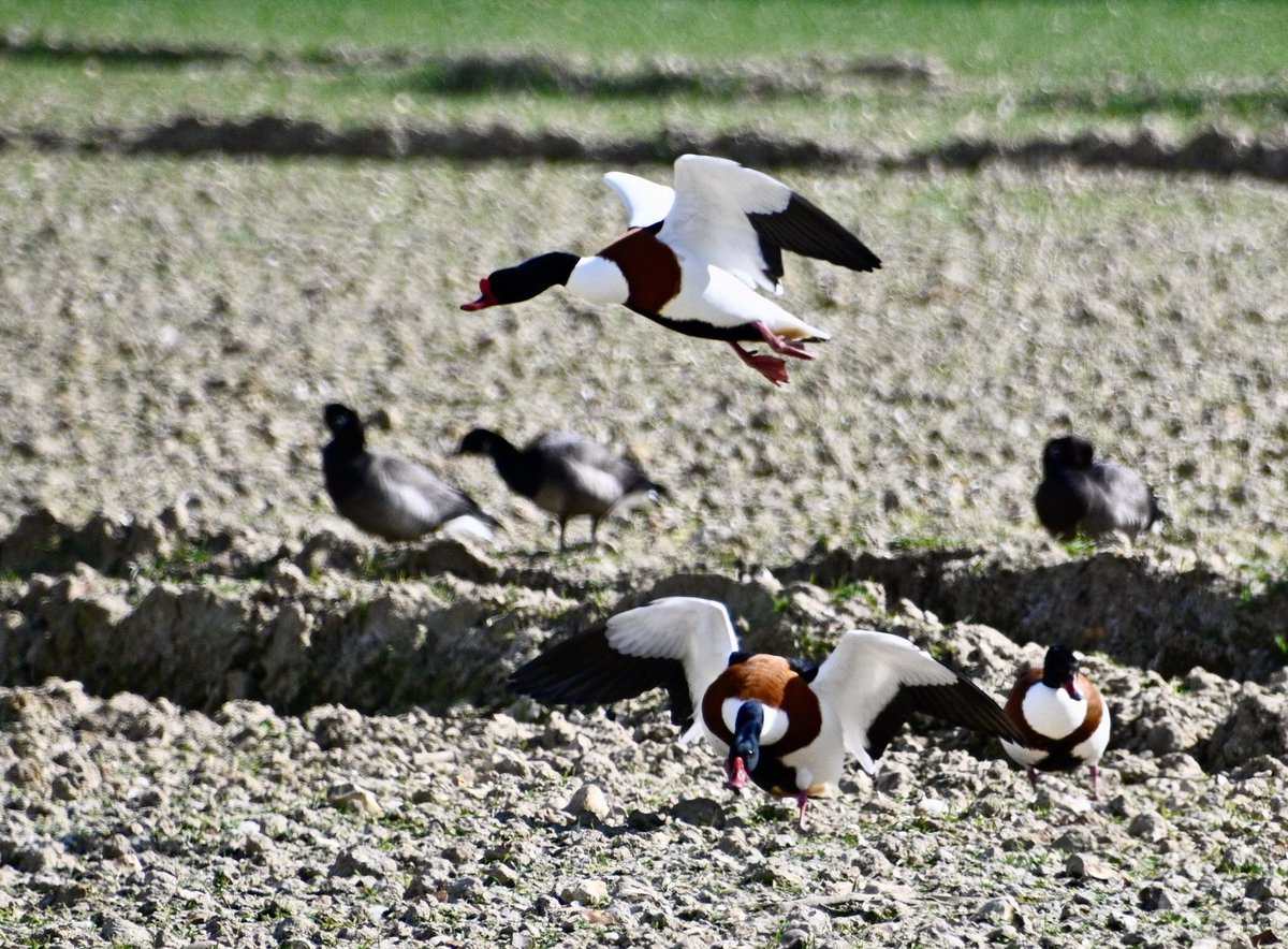 Andrew Watson tweet media