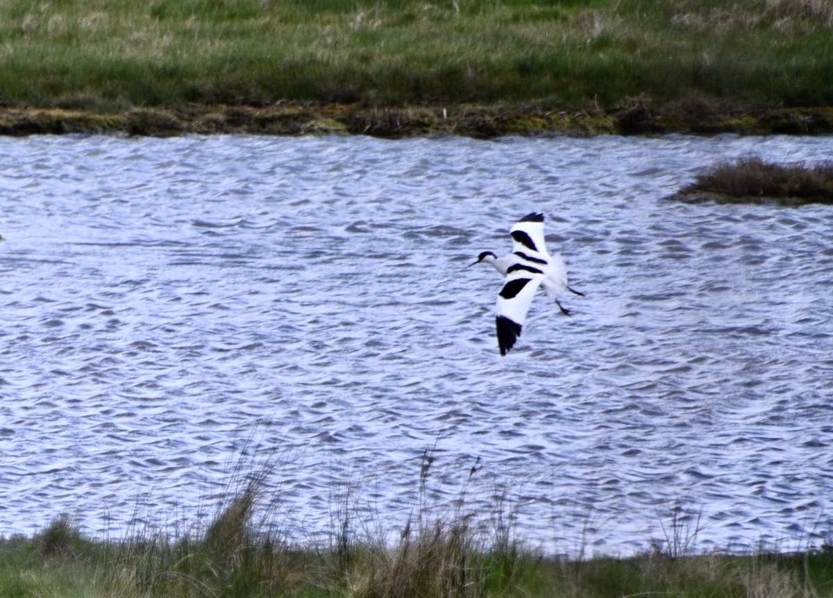 Andrew Watson tweet media