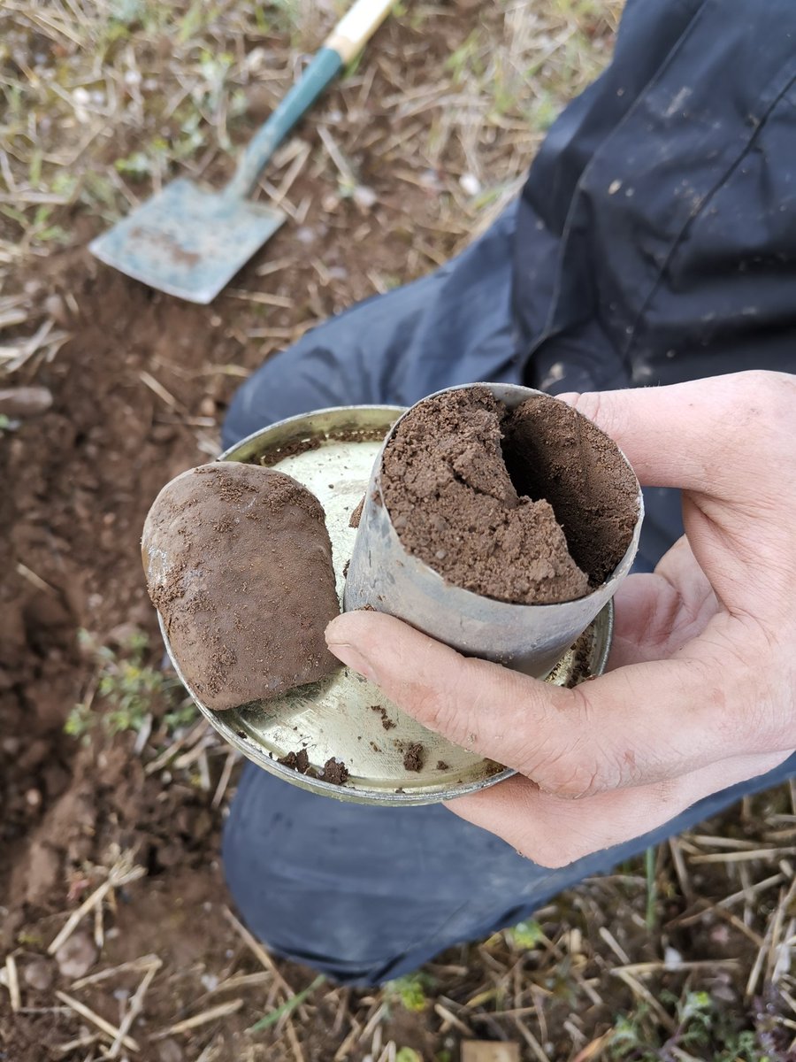 dannielle_roche's tweet photo. Field sampling today in Nottinghamshire for an industry project...the soil was pretty stoney today &amp; so the bulk density ring measurements took a hit  😂🙄😩🤦🏽‍♀️ #soilscience #bulkdensity #fieldsampling @CranfieldUni @CranfieldAgrifo https://t.co/lTiVtdfiDK