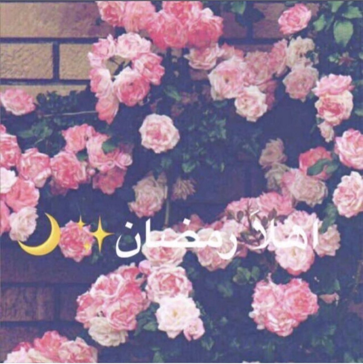Essa_srhan's tweet photo. اقتربت أيامُ رمضان ،طهّر قلوبنا 
يا الله ونَقّ سرائِرنا و بلغَنا جمّال لحظاته https://t.co/OvoxjR4iZd