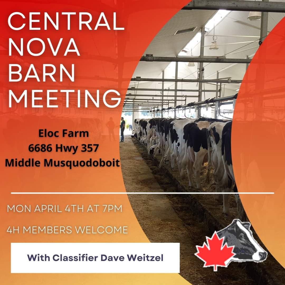 RebeccaOC9's tweet photo. @HolsteinCanada @Official4HNS https://t.co/qV17SgnXHH