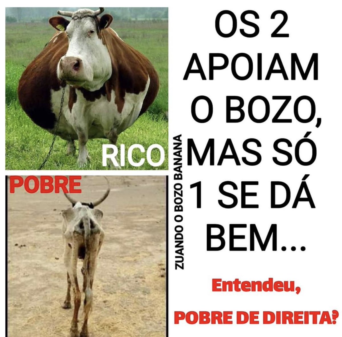 JoaoFloripa2's tweet photo. Entendeu POBRE de DIREITA? https://t.co/rIey0cpisD