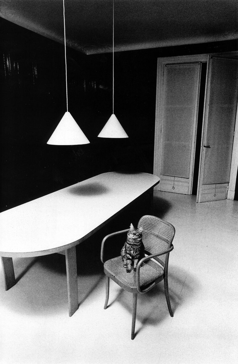 Cat, 1973.

Photographer Jeanloup Sieff