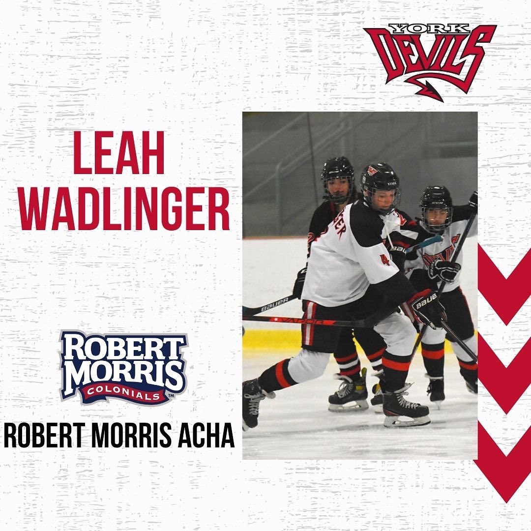 nghlhockey's tweet photo. Congratulations to NGHL member York Devils on this season’s commitments!!
Congratulations Breanna, Lilly and Leah!
#nghlhockey #hockeycommitment #girlshockey #womenshockey https://t.co/tZ9zJoStKU