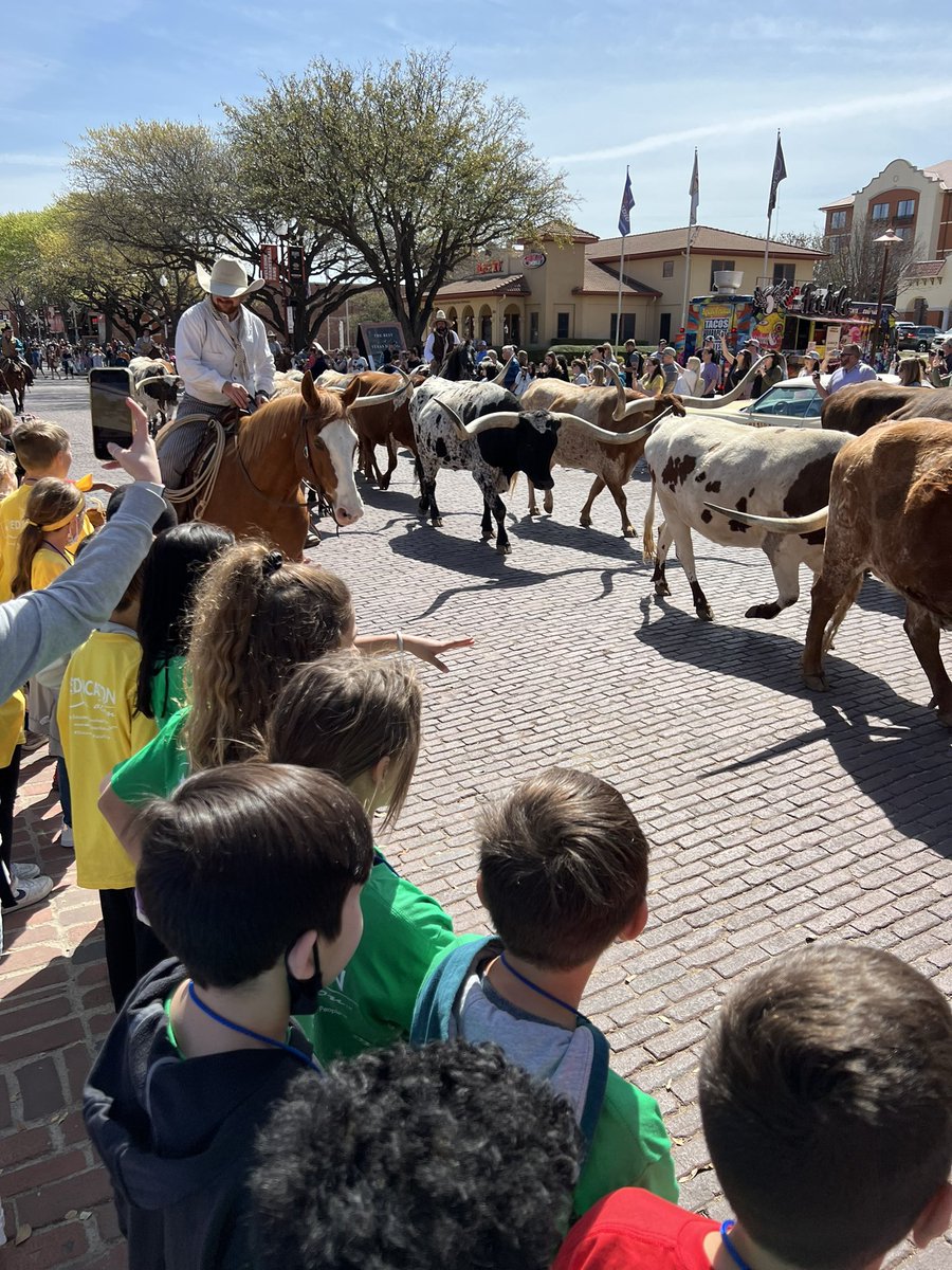 Suzanne Campbell tweet media