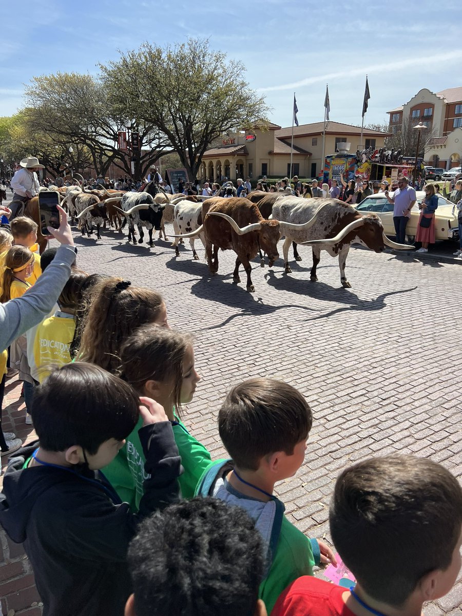 Suzanne Campbell tweet media