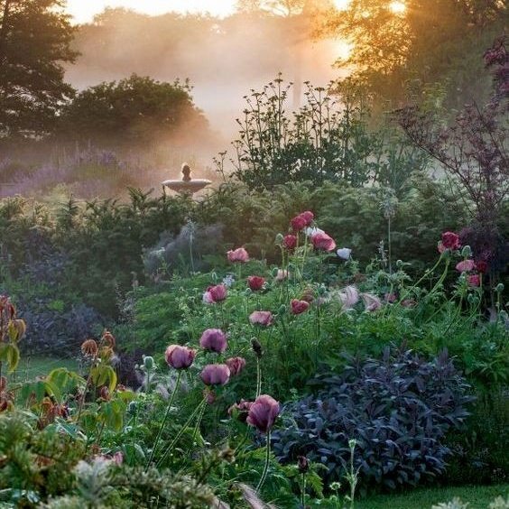 — 🌸🌸 𝘗𝘦𝘳𝘴𝘦𝘱𝘩𝘰𝘯𝘦 / 𝘒𝘰𝘳𝘦 🌸🌸
–– 𝘎𝘰𝘥𝘥𝘦𝘴𝘴 𝘰𝘧 𝘵𝘩𝘦 𝘥𝘦𝘢𝘥, 𝘭𝘪𝘧𝘦, 𝘨𝘳𝘢𝘪𝘯, 𝘢𝘯𝘥 𝘥𝘦𝘴𝘵𝘳𝘶𝘤𝘵𝘪𝘰𝘯.
–– 𝘘𝘶𝘦𝘦𝘯 𝘰𝘧 𝘵𝘩𝘦 𝘜𝘯𝘥𝘦𝘳𝘸𝘰𝘳𝘭𝘥.