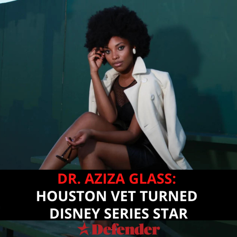 defendernetwork's tweet photo. Dr. Aziza Glass: Houston vet turned Disney series star.
@AzizaGlass @DisneyXD @hulu @NatNanyamka @PVAMU 
#DefenderNetwork