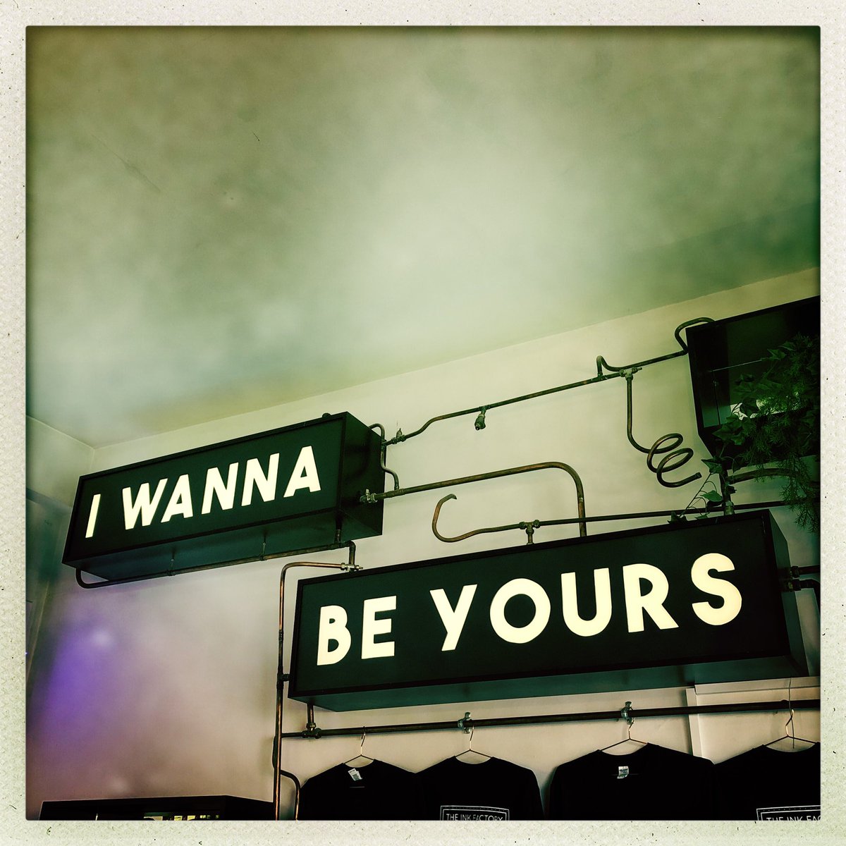 Laramccrae77's tweet photo. 🖤✨ It’s true, I do!🖤✨
#inkfactory
#storeart
#everydayfriday
#inkme
#TattooColour https://t.co/q4rkvCeqIZ