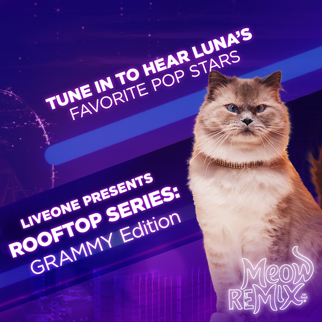 Meow Mix (@meowmix) on Twitter photo Luna worked her magic ✨ and got us all on the list! Watch pop stars <a href="/christianfrench/">christian french</a>, <a href="/lilykincade/">Lily Kincade</a> and <a href="/kevinwoo91/">Kevin Woo</a> perform at the Rooftop Series: GRAMMY Edition in Las Vegas on April 2nd at 10 PM ET on <a href="/LiveOne/">LiveOne</a>. spr.ly/6019KvU5R Luna worked her magic ✨ and got us all on the list! Watch pop stars <a href="/christianfrench/">christian french</a>, <a href="/lilykincade/">Lily Kincade</a> and <a href="/kevinwoo91/">Kevin Woo</a> perform at the Rooftop Series: GRAMMY Edition in Las Vegas on April 2nd at 10 PM ET on <a href="/LiveOne/">LiveOne</a>. spr.ly/6019KvU5R