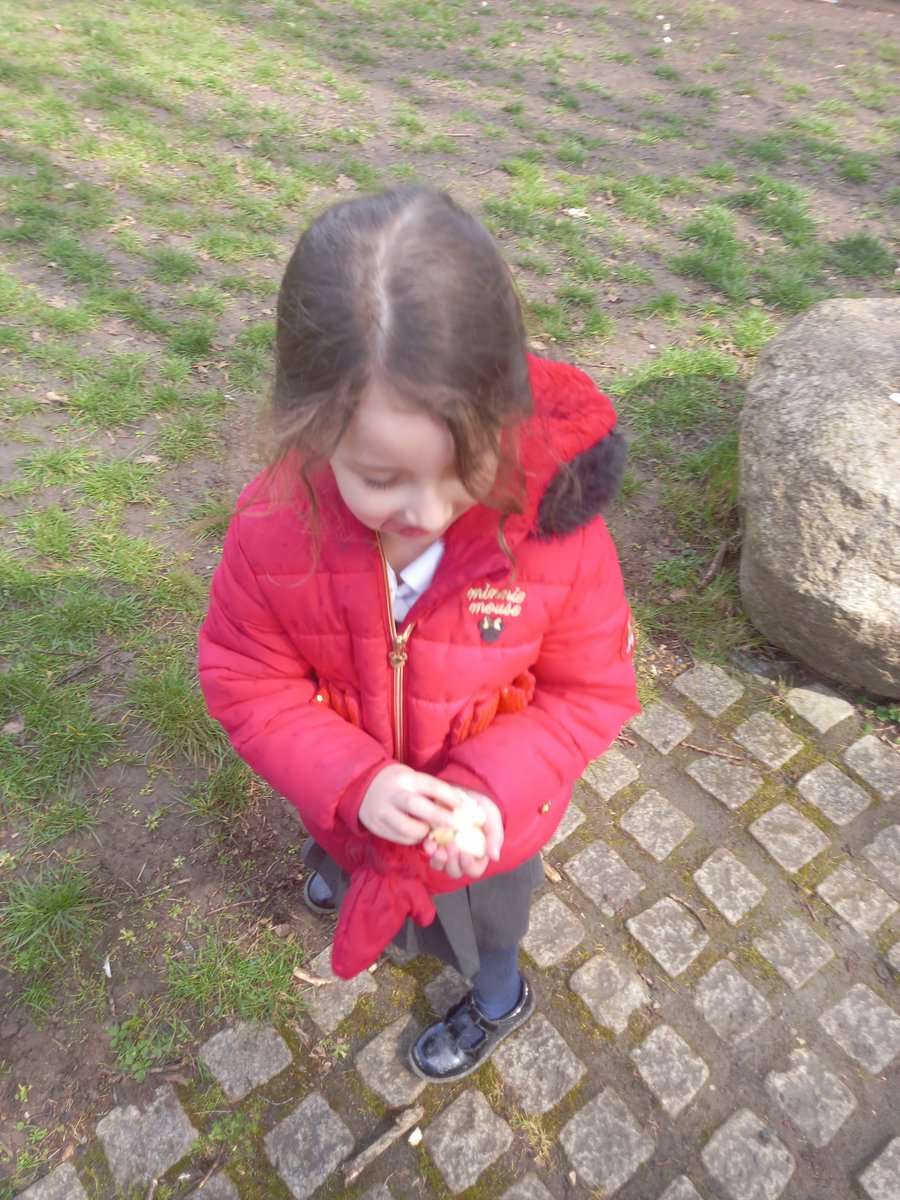 LordswoodEYFS's tweet photo. The children were concerned that because it was snowing the birds wouldn't have any food so we broke up some bread and threw it around the outside area. #caringfornature https://t.co/6QHKFEkKF5
