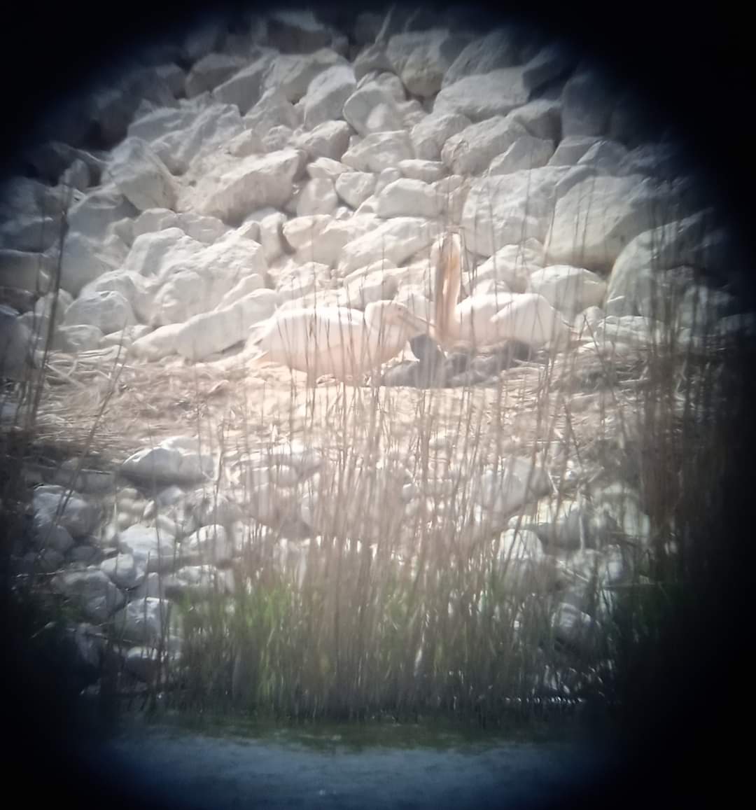 Yiannis Banakakis tweet media