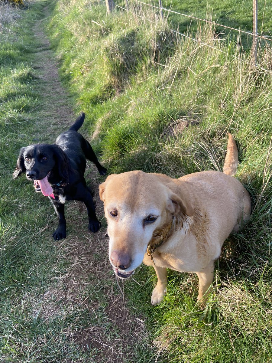 jcrakeypants's tweet photo. WHY???? Less than an hour on shift and covered in 🦊 💩 https://t.co/eUSgTFzU4i