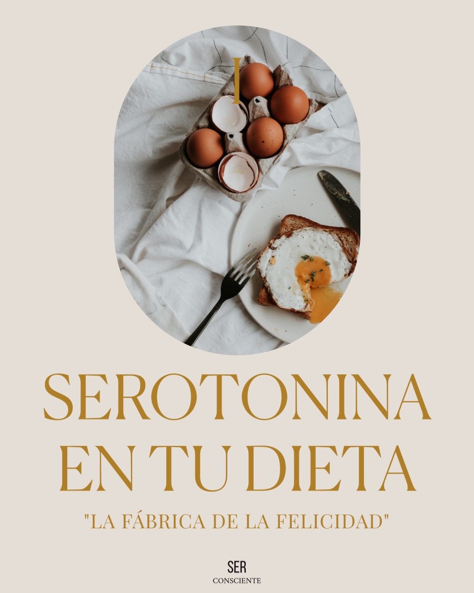 S3Rconsciente's tweet photo. Sabías que la producción de serotonina está muy influenciada por la dieta?

Como todo en el cuerpo, la serotonina se construye a partir de los nutrientes que obtenemos de los alimentos.

Alimentos que debemos consumir para elevar su producción:

Alimentos ricos en triptófano https://t.co/AvDXHf216t