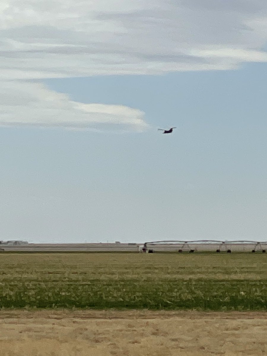 The neighbor is using ospreys to scout his fields. #7dollarcorn