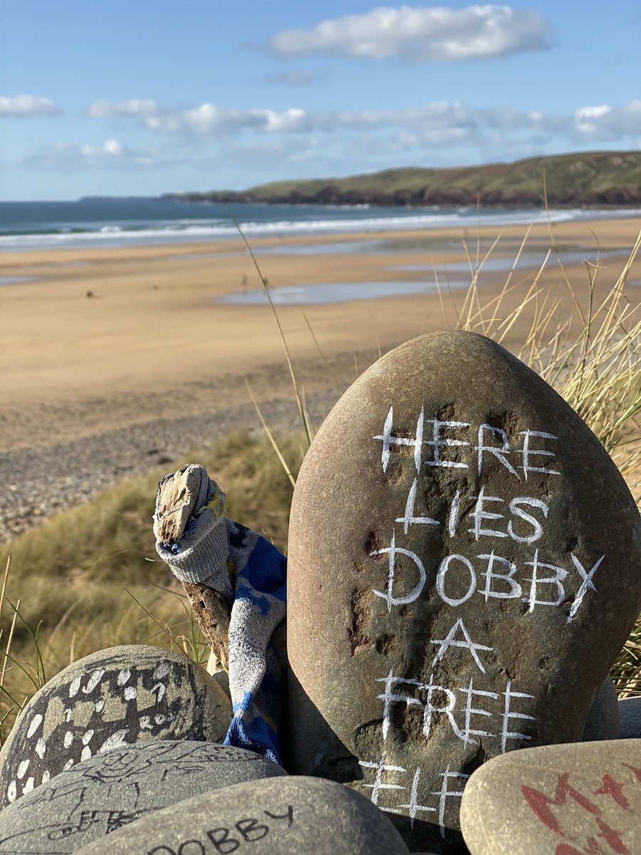 Pembrokeshire_Pirate tweet media