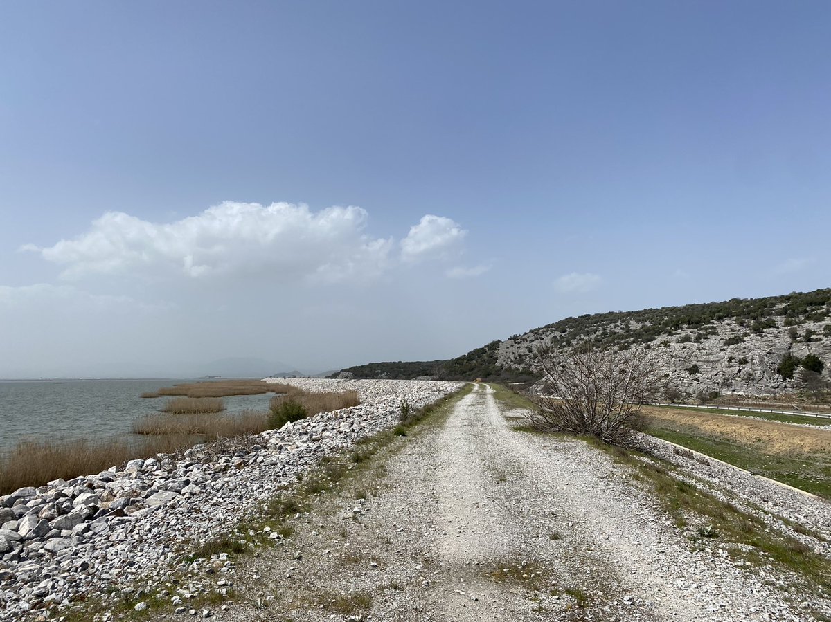 Yiannis Banakakis tweet media