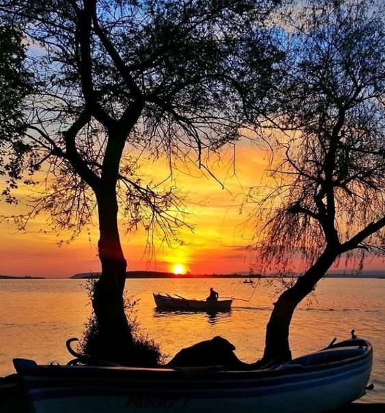 KatanaHugo's tweet photo. Good evening my dear friends !
#photos #photography #evening #sunsets https://t.co/MpDyJoKxWs