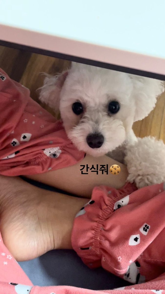 updates_laboum's tweet photo. 「☕: 220401
🥛Update Instagram HaeIn (HHae_In_)📷💛」
Translation:
Please, give me some snacks🍪 https://t.co/wGu1Pnl0RD
