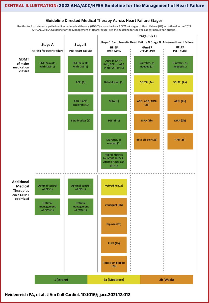 Acc guidelines