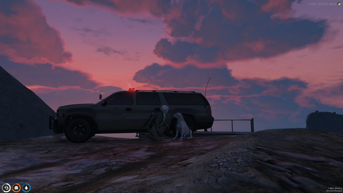 RpNolife's tweet photo. Come join our roleplay server (Nolife RP) we have Police jobs, EMS job, Bank robberies, chop shop, Racing and so much more!! looking for more police and crimes or people who want to start another gang!!! We now have pets!!!! join our discord now https://t.co/lXPVB80q1q https://t.co/aXaCUAeq4v
