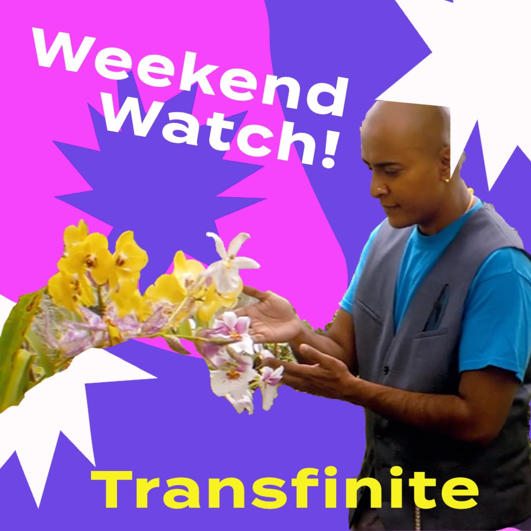 FliptheScriptMN's tweet image. Watch TRANSFINITE this weekend on Amazon prime!
“TRANSFINITE is a sci-fi omnibus feature film composed of seven standalone magical realistic short stories where supernatural trans and queer people from various cultures use their powers to protect, love, teach, fight and thrive.”