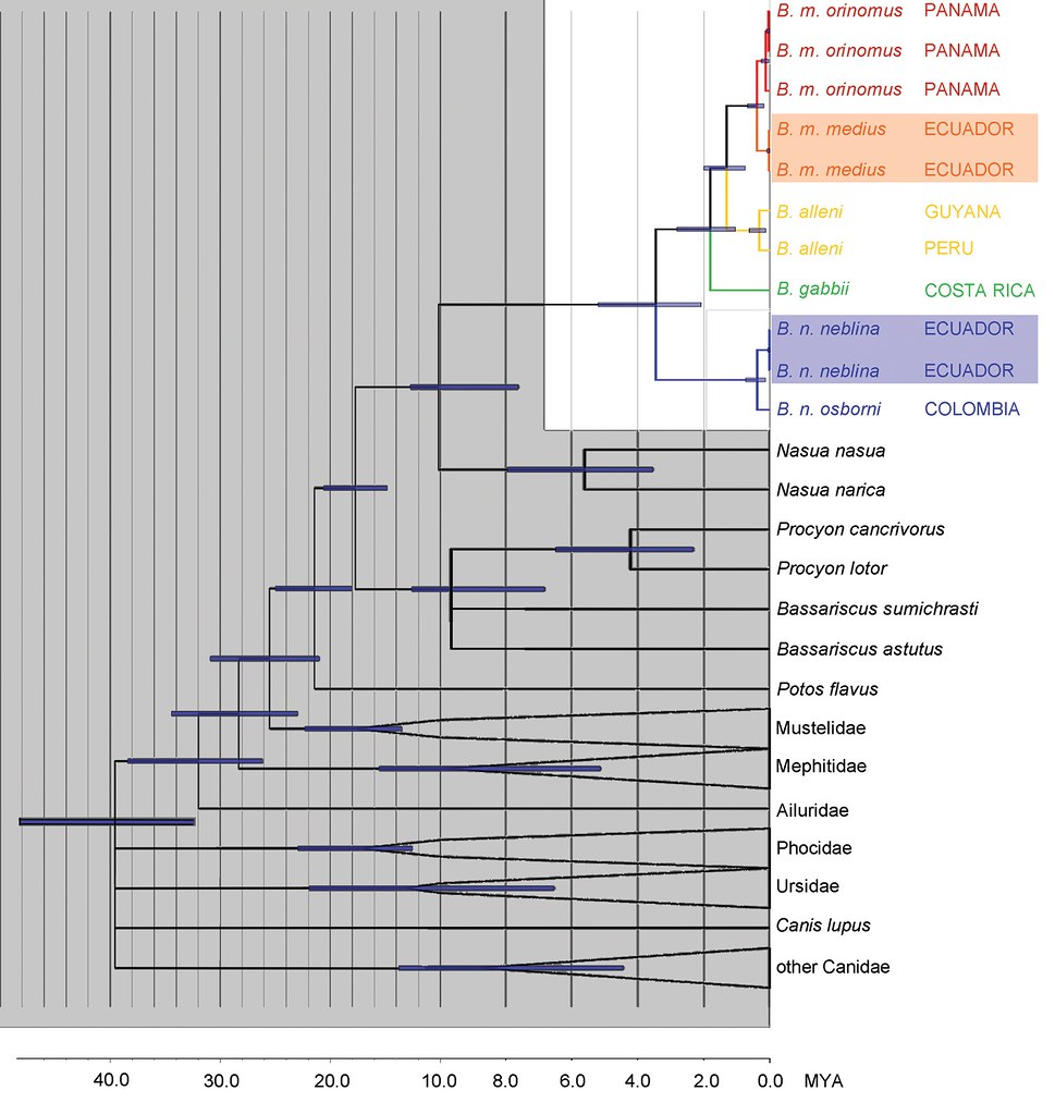 YourRandomImage's tweet image. #concatenate