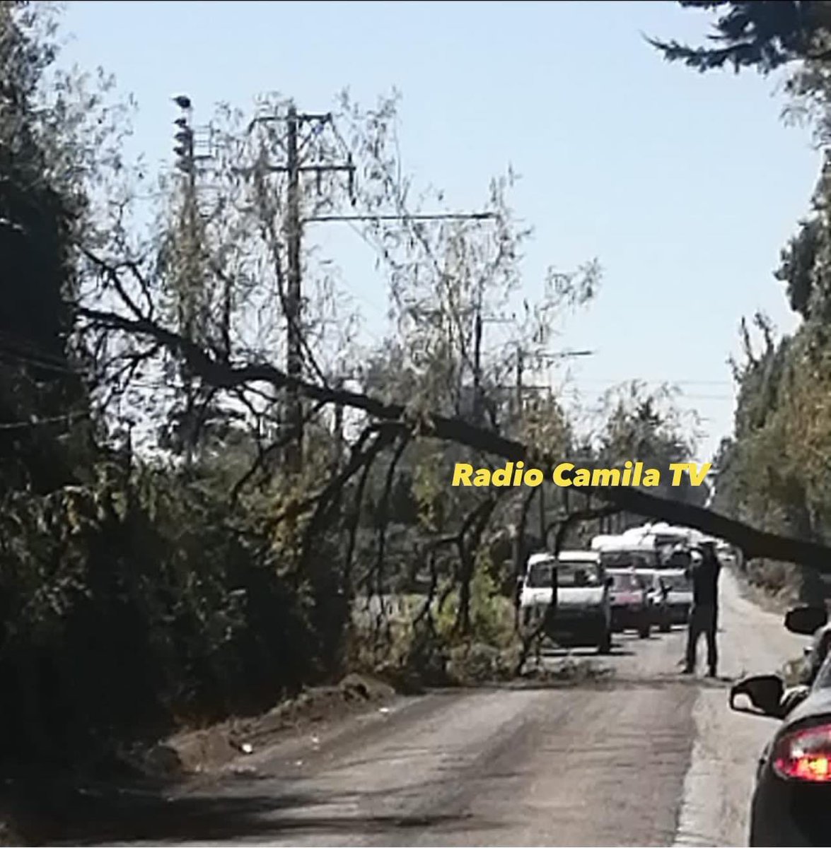 Radio_Camila_TV's tweet photo. Vecinos de Camino a Cantarrana en #LosAngelesCL , dan cuenta de la caída de un árbol, que además provocó el corte del suministro eléctrico.

Se espera la pronta reposición por parte de @CGE_Clientes 

Además de la suspensión parcial del flujo vehicular en el sector. https://t.co/jeNa5WTWZG