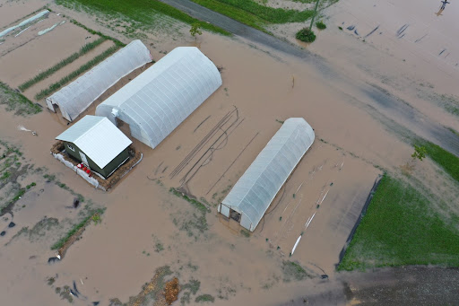 We are in a climate and farm crisis and we need immediate action from our elected political leaders that are supposed to represent our interests! We’ve drafted a letter for your usage here and encourage you to send it off today #ClimateCrisis #FarmCrisis

nfu.ca/letter-to-your…