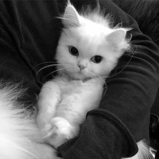 [`°•🌃•°`] /хрустнул спиной и потянулся. подошёл к кровати и сел на пол около неё. поправил одеяло и погладил тебя по волосам/ — ты умница. тебе следует отдохнуть. я тобой очень горжусь. доброй ночи. я охраняю твой покой.