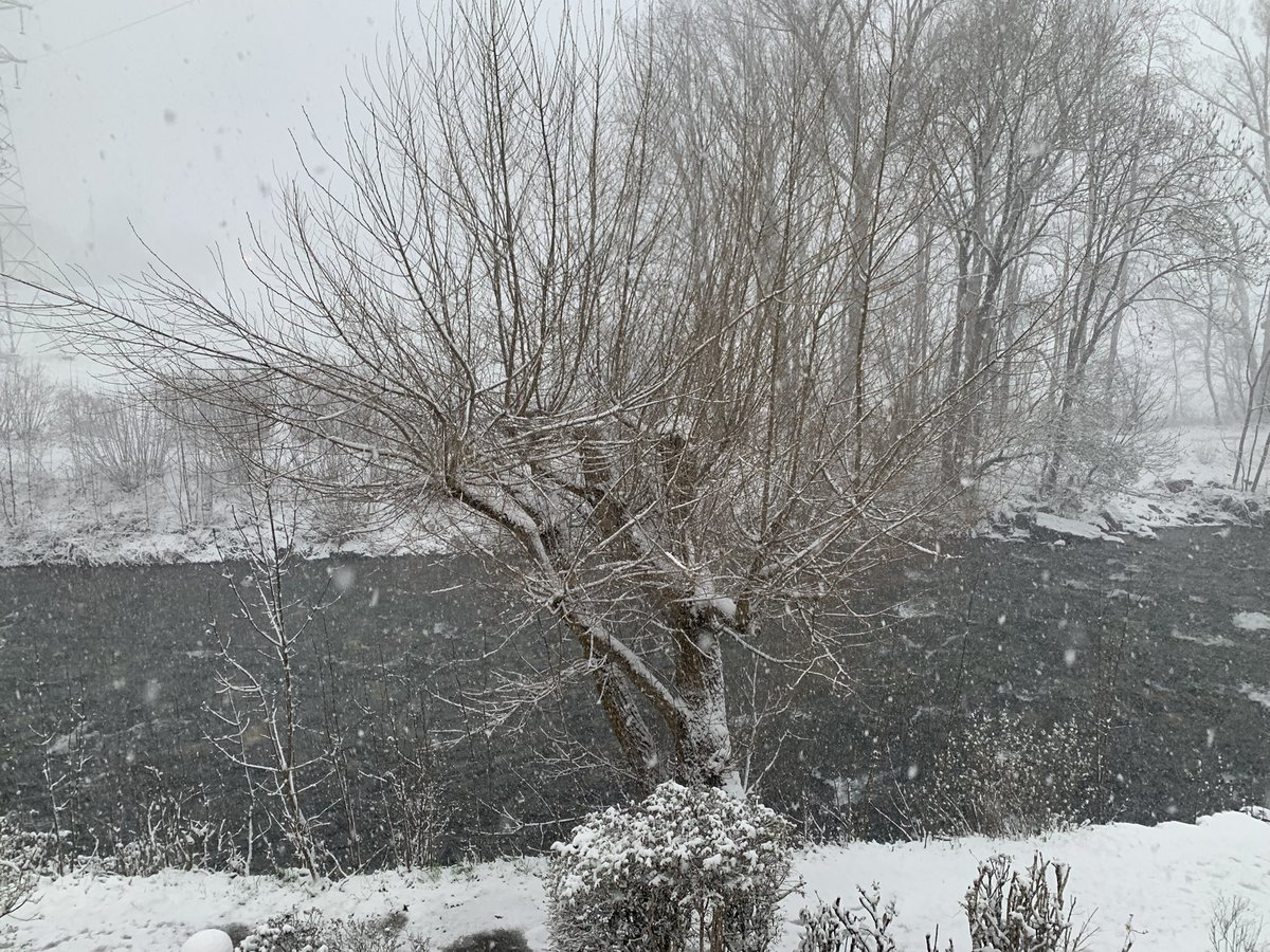 corinne_crabe's tweet photo. Ne pas déranger 👌sous la #neige ❄️ #pyrenees #pirineos #nieve #snow #aure @Meteo_Pyrenees @F3Occitanie #vignec #saintlary @Saint_Lary_Fr @Les_Pyrenees_ES https://t.co/3JV8kJmqzO
