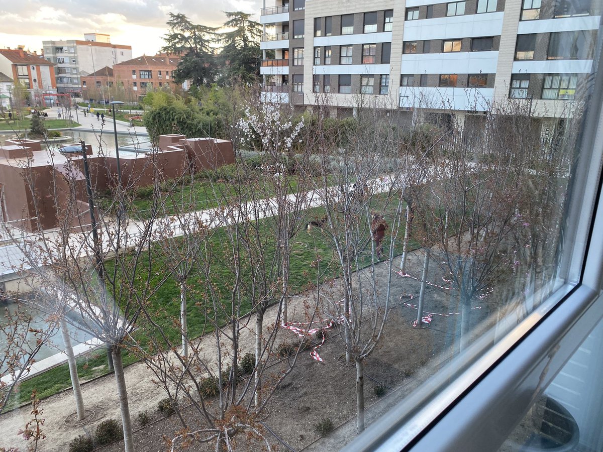Roferhe1's tweet photo. @Ayto_Torrejon Denuncio esta falta de civismo en el Parque Central. Todas las tardes https://t.co/UBjOlpYkP9