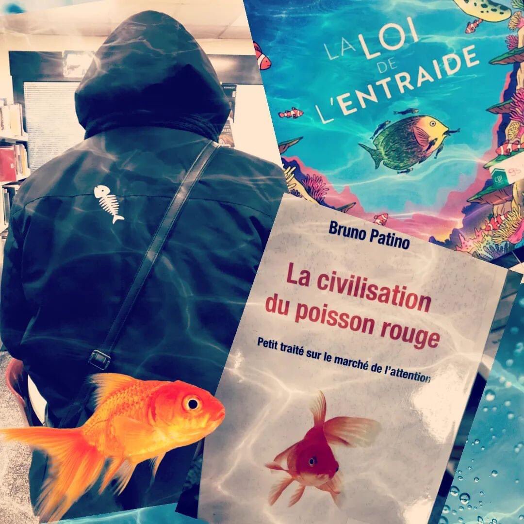 cdicorbu's tweet image. Petit poisson deviendra-t-il grand ? 🐟🤔
... pas aujourd'hui en tout cas, les profs-docs du @cdicorbu étaient d'humeur trop espiègle 🤭 #poissondavril #1eravril #letsfun #poisson #fish #friyay #humour