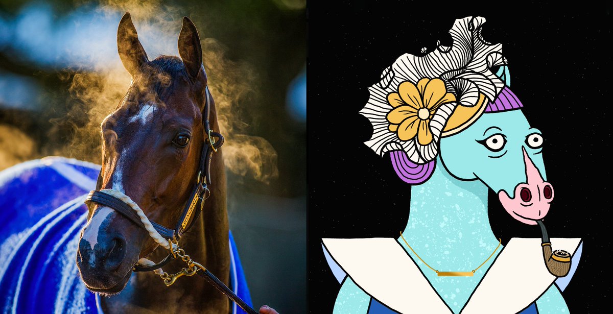 In honor of @Twitter exploring an edit feature, to which the great "Dongbird" may never have existed!! My Web 2 Photos vs. Web 3 . The Class of the Party!!! #partyhorses #web3 <a href="/partyhorses/">Party Horses</a>