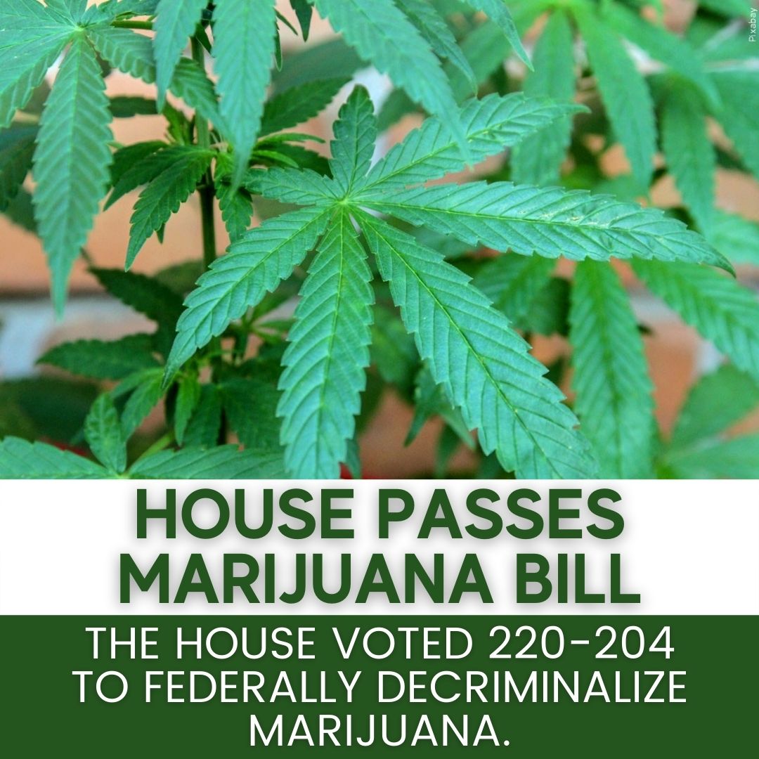 FOX5Vegas's tweet photo. If signed into law, it would remove marijuana from the controlled substances list and eliminate penalties for people who grow, distribute or possess it. 
https://t.co/1Xyb2EbLTu https://t.co/pUrNeLPODC