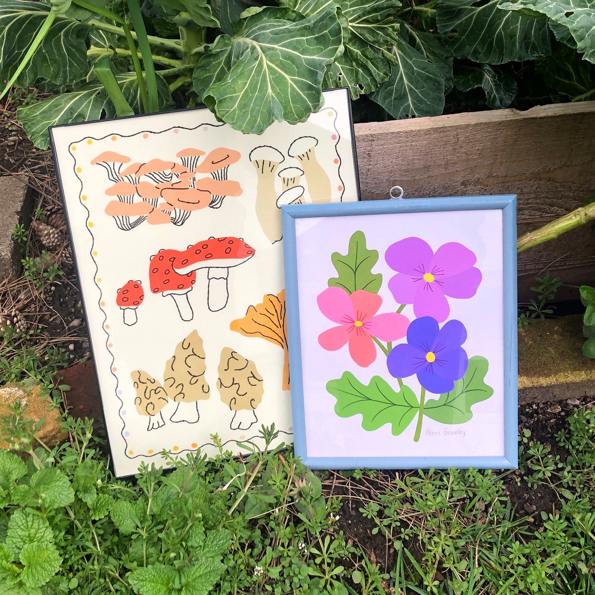 Perri Greeley tweet media