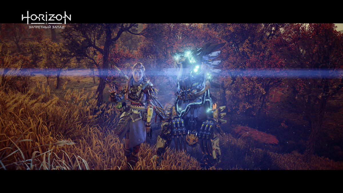 CookieOwl's tweet photo. #PS5Share, #HorizonЗапретныйЗапад https://t.co/UrZF5fYJLG