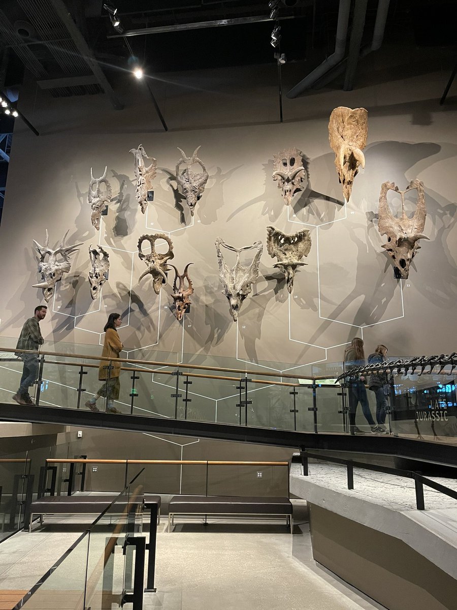 NFThicc's tweet photo. Gotta love dinosaurs 

At the Natural History Museum of Utah

#NFTCommunity https://t.co/n4duawJQql