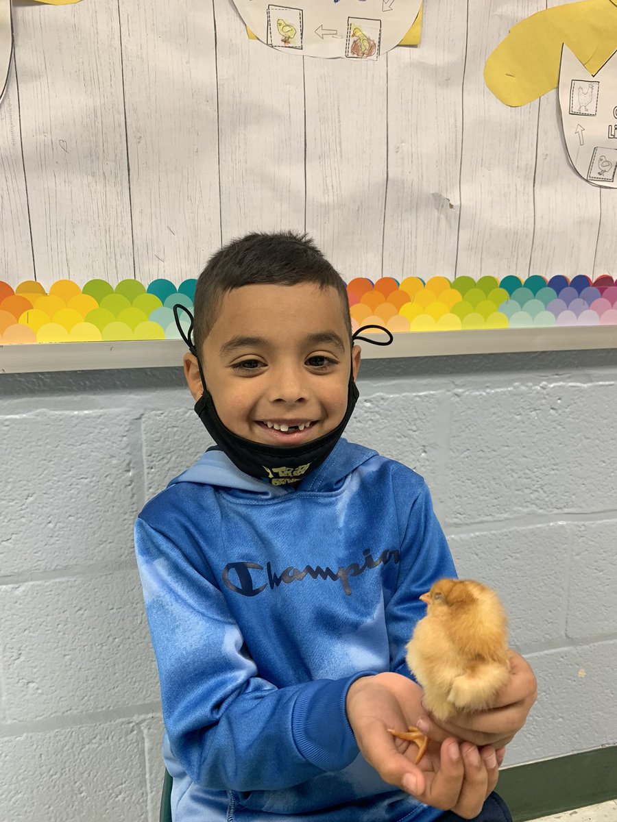 MsEnglish1234's tweet photo. We love our new 🐥! #o_braves @OccoquanES https://t.co/zCxCSZ1e48