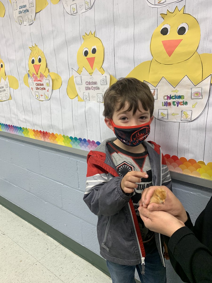 MsEnglish1234's tweet photo. We love our new 🐥! #o_braves @OccoquanES https://t.co/zCxCSZ1e48