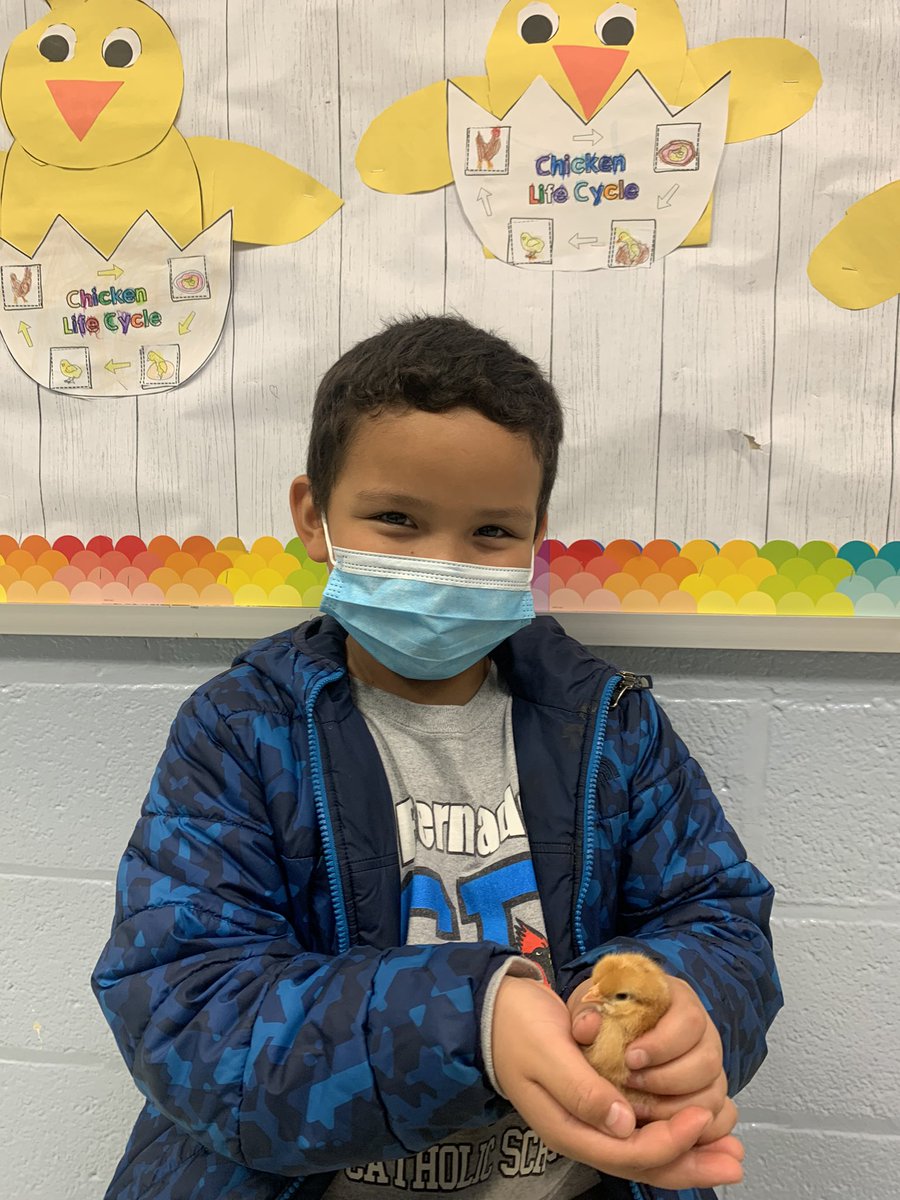 MsEnglish1234's tweet photo. We love our new 🐥! #o_braves @OccoquanES https://t.co/zCxCSZ1e48