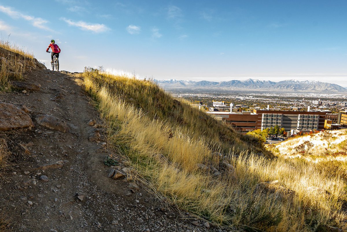UUtah's tweet photo. It's prime mountain bike season on the BST. If you need a tune up, stop by the Campus Bike Shop across the street from the @UMFA, M-F, 9a-4p. https://t.co/Xhbw6ltsIE