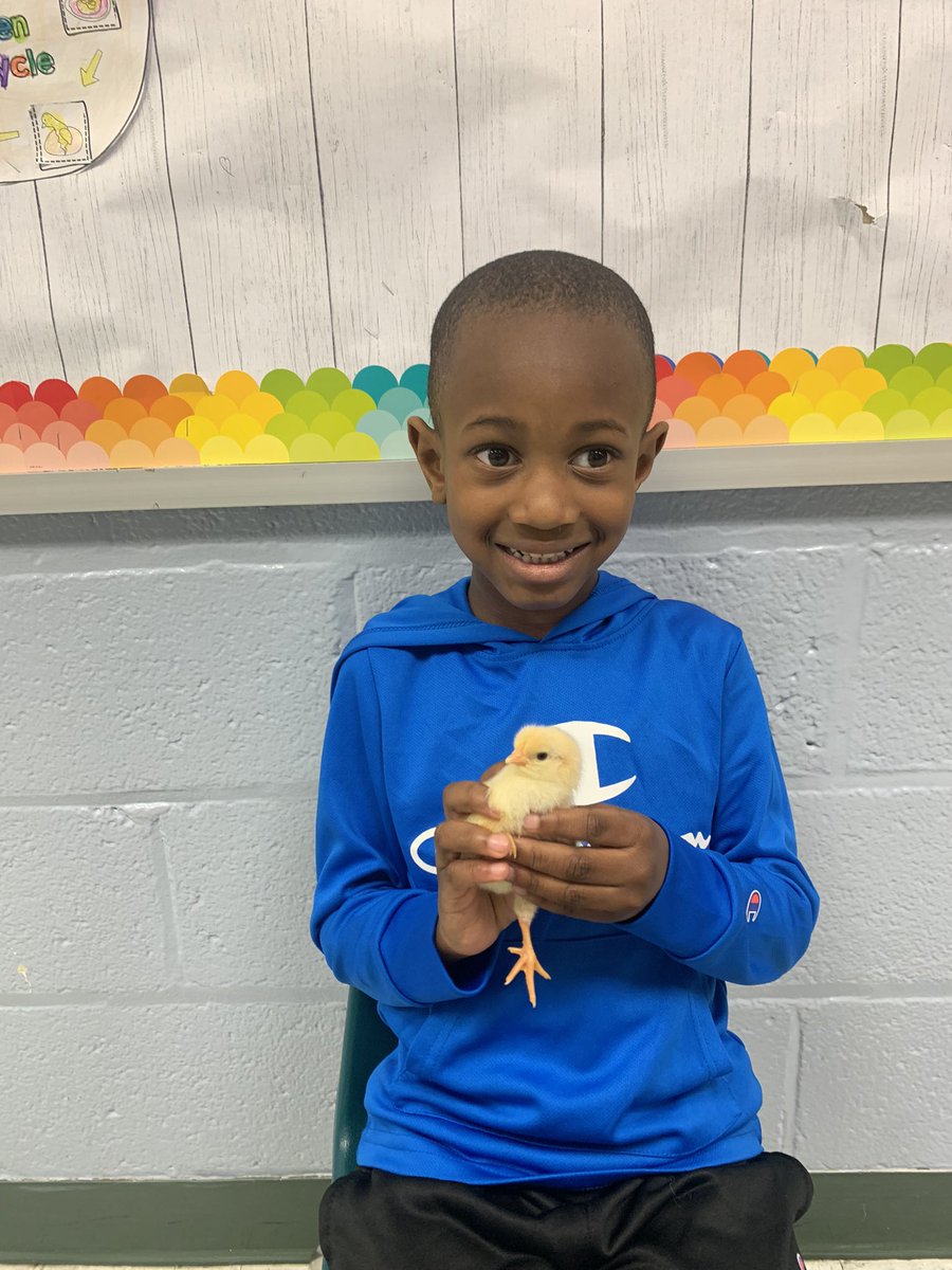 MsEnglish1234's tweet photo. 🐣 #o_braves @OccoquanES https://t.co/uRPoa4MWRI