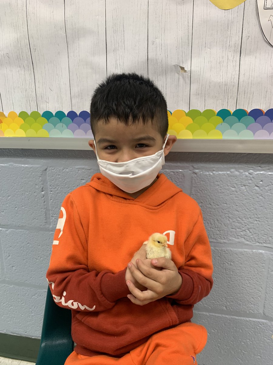 MsEnglish1234's tweet photo. 🐣 #o_braves. @OccoquanES https://t.co/FKxVj7sX0j