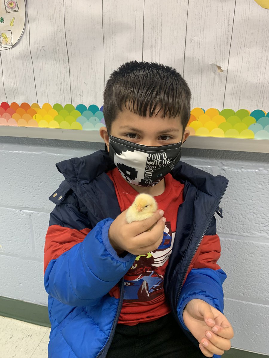 MsEnglish1234's tweet photo. 🐣 #o_braves. @OccoquanES https://t.co/FKxVj7sX0j