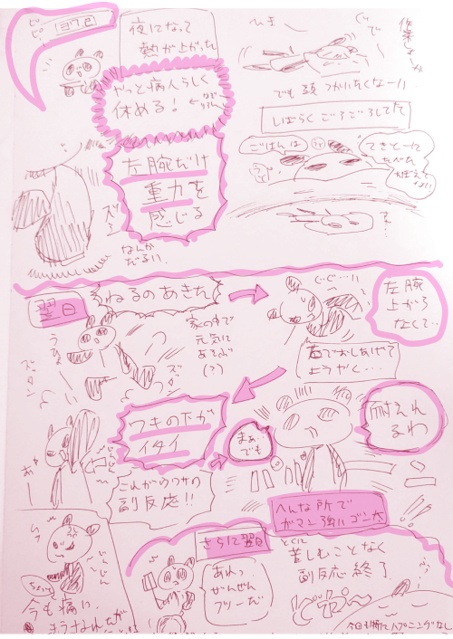 ワクチン3回目レポ
#お宅ライフ 