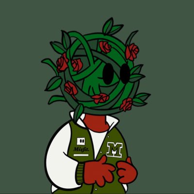 domdolla.sol ✨ tweet media